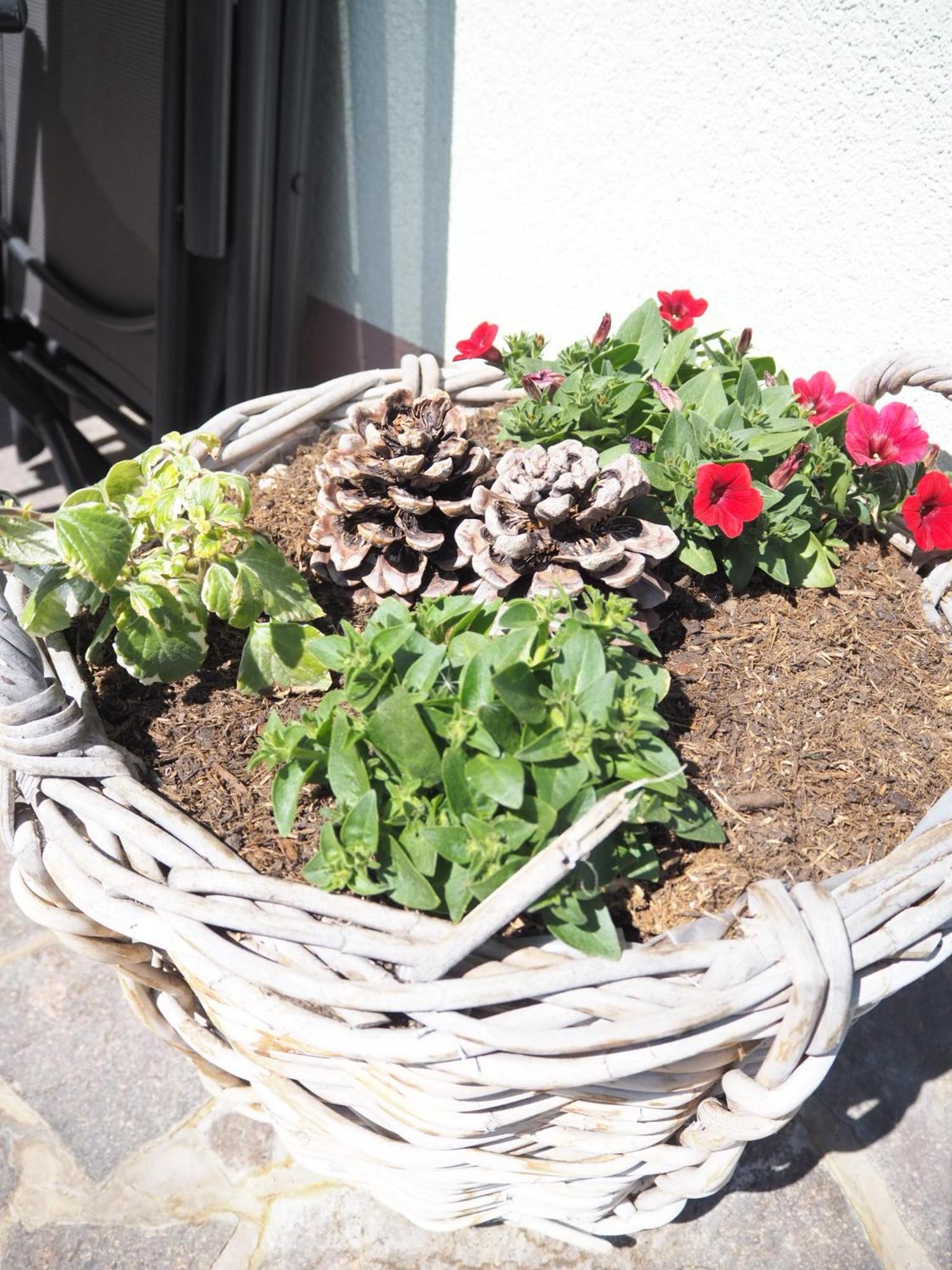 Appartement Felsenheim 베스텐도르프 외부 사진